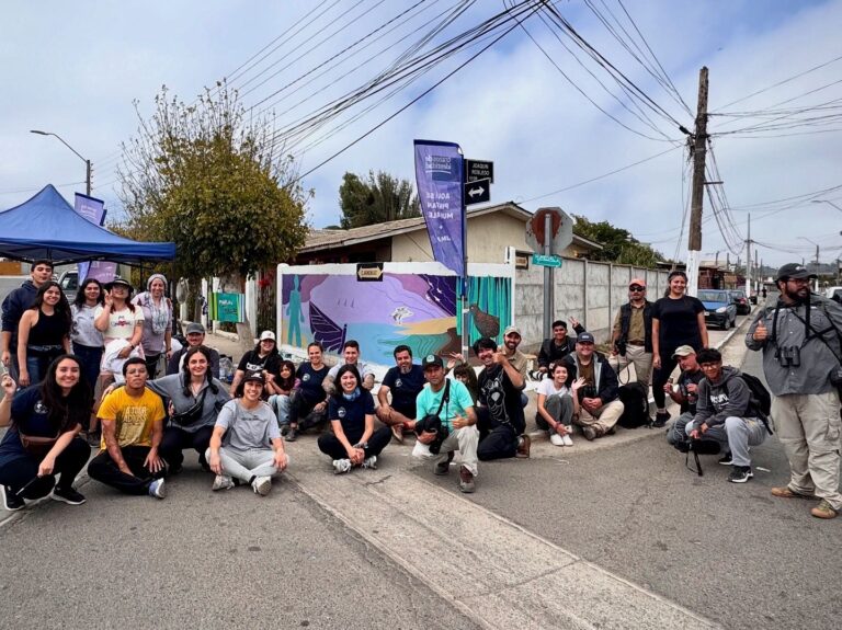 5° Festival de Aves del Maipo