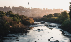Accionando y educando, no arrasando